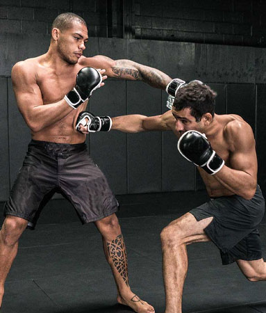 MMA Shorts