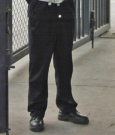 Security Footwear